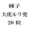 ҡϥ20γ<img class='new_mark_img2' src='https://img.shop-pro.jp/img/new/icons48.gif' style='border:none;display:inline;margin:0px;padding:0px;width:auto;' />