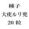 ҡϥ20γ<img class='new_mark_img2' src='https://img.shop-pro.jp/img/new/icons57.gif' style='border:none;display:inline;margin:0px;padding:0px;width:auto;' />