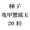 ҡ˱̡20γ<img class='new_mark_img2' src='https://img.shop-pro.jp/img/new/icons48.gif' style='border:none;display:inline;margin:0px;padding:0px;width:auto;' />
