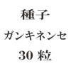 ҡ󥭥ͥ󥻡30γ