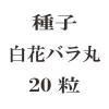 ҡ֥Хݡ20γ<img class='new_mark_img2' src='https://img.shop-pro.jp/img/new/icons58.gif' style='border:none;display:inline;margin:0px;padding:0px;width:auto;' />