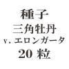 ҡѲðv.󥬡20γ<img class='new_mark_img2' src='https://img.shop-pro.jp/img/new/icons48.gif' style='border:none;display:inline;margin:0px;padding:0px;width:auto;' />