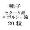 ҡӡߥܥ륷  20γ<img class='new_mark_img2' src='https://img.shop-pro.jp/img/new/icons48.gif' style='border:none;display:inline;margin:0px;padding:0px;width:auto;' />