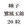 ҡ˱̶  20γ<img class='new_mark_img2' src='https://img.shop-pro.jp/img/new/icons48.gif' style='border:none;display:inline;margin:0px;padding:0px;width:auto;' />