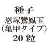 ҡ˱̡ʵåס  20γ