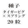 ҡԥߥץ  20γ<img class='new_mark_img2' src='https://img.shop-pro.jp/img/new/icons58.gif' style='border:none;display:inline;margin:0px;padding:0px;width:auto;' />