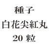 ҡȴ  20γ<img class='new_mark_img2' src='https://img.shop-pro.jp/img/new/icons48.gif' style='border:none;display:inline;margin:0px;padding:0px;width:auto;' />