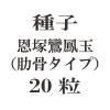 ҡ˱̡Ͼס  20γ<img class='new_mark_img2' src='https://img.shop-pro.jp/img/new/icons48.gif' style='border:none;display:inline;margin:0px;padding:0px;width:auto;' />