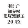 ҡۺ鲸˱  20γ<img class='new_mark_img2' src='https://img.shop-pro.jp/img/new/icons57.gif' style='border:none;display:inline;margin:0px;padding:0px;width:auto;' />
