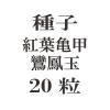ҡյ˱  20γ<img class='new_mark_img2' src='https://img.shop-pro.jp/img/new/icons48.gif' style='border:none;display:inline;margin:0px;padding:0px;width:auto;' />