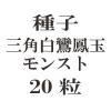 ҡ˱̥󥹥  20γ<img class='new_mark_img2' src='https://img.shop-pro.jp/img/new/icons48.gif' style='border:none;display:inline;margin:0px;padding:0px;width:auto;' />