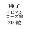 ҡӥ  20γ