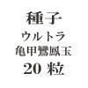 ҡȥ鵵˱  20γ<img class='new_mark_img2' src='https://img.shop-pro.jp/img/new/icons57.gif' style='border:none;display:inline;margin:0px;padding:0px;width:auto;' />