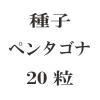 ҡڥ󥿥ʡ20γ<img class='new_mark_img2' src='https://img.shop-pro.jp/img/new/icons48.gif' style='border:none;display:inline;margin:0px;padding:0px;width:auto;' />