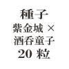 ҡ߼Ƹҡ20γ<img class='new_mark_img2' src='https://img.shop-pro.jp/img/new/icons48.gif' style='border:none;display:inline;margin:0px;padding:0px;width:auto;' />