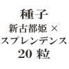 ҡɱߥץǥ󥹡20γ<img class='new_mark_img2' src='https://img.shop-pro.jp/img/new/icons48.gif' style='border:none;display:inline;margin:0px;padding:0px;width:auto;' />