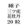 ҡϲֲð20γ<img class='new_mark_img2' src='https://img.shop-pro.jp/img/new/icons57.gif' style='border:none;display:inline;margin:0px;padding:0px;width:auto;' />