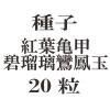 ҡյ˱̡20γ<img class='new_mark_img2' src='https://img.shop-pro.jp/img/new/icons48.gif' style='border:none;display:inline;margin:0px;padding:0px;width:auto;' />