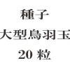 ҡ緿Ļ̡20γ