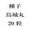 ҡݡ20γ<img class='new_mark_img2' src='https://img.shop-pro.jp/img/new/icons57.gif' style='border:none;display:inline;margin:0px;padding:0px;width:auto;' />
