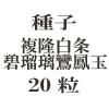 ҡʣδ˱̡20γ<img class='new_mark_img2' src='https://img.shop-pro.jp/img/new/icons48.gif' style='border:none;display:inline;margin:0px;padding:0px;width:auto;' />