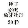 ҡϾݲ粴ð20γ<img class='new_mark_img2' src='https://img.shop-pro.jp/img/new/icons48.gif' style='border:none;display:inline;margin:0px;padding:0px;width:auto;' />