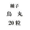 ҡݡ20γ<img class='new_mark_img2' src='https://img.shop-pro.jp/img/new/icons57.gif' style='border:none;display:inline;margin:0px;padding:0px;width:auto;' />