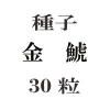 ҡ⡡ϡ30γ<img class='new_mark_img2' src='https://img.shop-pro.jp/img/new/icons48.gif' style='border:none;display:inline;margin:0px;padding:0px;width:auto;' />