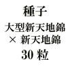 ҡ緿ŷ϶ӡ߿ŷ϶ӡ30γ<img class='new_mark_img2' src='https://img.shop-pro.jp/img/new/icons48.gif' style='border:none;display:inline;margin:0px;padding:0px;width:auto;' />