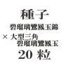 ҡ˱̶ӡ緿˱̡20γ<img class='new_mark_img2' src='https://img.shop-pro.jp/img/new/icons48.gif' style='border:none;display:inline;margin:0px;padding:0px;width:auto;' />
