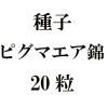 ҡԥޥӡ20γ<img class='new_mark_img2' src='https://img.shop-pro.jp/img/new/icons58.gif' style='border:none;display:inline;margin:0px;padding:0px;width:auto;' />
