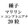ҡޥߥץȥ˥ʡ20γ<img class='new_mark_img2' src='https://img.shop-pro.jp/img/new/icons48.gif' style='border:none;display:inline;margin:0px;padding:0px;width:auto;' />