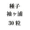 ҡµ30γ<img class='new_mark_img2' src='https://img.shop-pro.jp/img/new/icons48.gif' style='border:none;display:inline;margin:0px;padding:0px;width:auto;' />