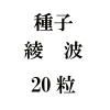 ҡȡ20γ<img class='new_mark_img2' src='https://img.shop-pro.jp/img/new/icons48.gif' style='border:none;display:inline;margin:0px;padding:0px;width:auto;' />