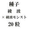 ҡȡߡȥ󥹥ȡ20γ<img class='new_mark_img2' src='https://img.shop-pro.jp/img/new/icons48.gif' style='border:none;display:inline;margin:0px;padding:0px;width:auto;' />