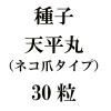 ҡŷʿݡʥͥޥסˡ30γ<img class='new_mark_img2' src='https://img.shop-pro.jp/img/new/icons48.gif' style='border:none;display:inline;margin:0px;padding:0px;width:auto;' />