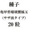 ҡ˱̡ʥȥסˡ20γ<img class='new_mark_img2' src='https://img.shop-pro.jp/img/new/icons48.gif' style='border:none;display:inline;margin:0px;padding:0px;width:auto;' />