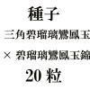 ҡ˱̡ߡ˱̶ӡ20γ<img class='new_mark_img2' src='https://img.shop-pro.jp/img/new/icons48.gif' style='border:none;display:inline;margin:0px;padding:0px;width:auto;' />