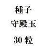 ҡ¶̡30γ<img class='new_mark_img2' src='https://img.shop-pro.jp/img/new/icons48.gif' style='border:none;display:inline;margin:0px;padding:0px;width:auto;' />