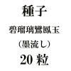 ҡ˱̡ήˡ20γ<img class='new_mark_img2' src='https://img.shop-pro.jp/img/new/icons58.gif' style='border:none;display:inline;margin:0px;padding:0px;width:auto;' />