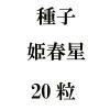 ҡɱ20γ<img class='new_mark_img2' src='https://img.shop-pro.jp/img/new/icons57.gif' style='border:none;display:inline;margin:0px;padding:0px;width:auto;' />