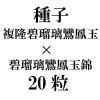 ҡʣδ˱̡˱̶ӡ20γ<img class='new_mark_img2' src='https://img.shop-pro.jp/img/new/icons48.gif' style='border:none;display:inline;margin:0px;padding:0px;width:auto;' />