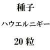 ҡϥ˥20γ<img class='new_mark_img2' src='https://img.shop-pro.jp/img/new/icons48.gif' style='border:none;display:inline;margin:0px;padding:0px;width:auto;' />