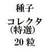 ҡ쥯ˡ20γ<img class='new_mark_img2' src='https://img.shop-pro.jp/img/new/icons5.gif' style='border:none;display:inline;margin:0px;padding:0px;width:auto;' />