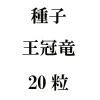 ҡε20γ<img class='new_mark_img2' src='https://img.shop-pro.jp/img/new/icons48.gif' style='border:none;display:inline;margin:0px;padding:0px;width:auto;' />