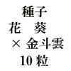 ҡְߡͱ20γ<img class='new_mark_img2' src='https://img.shop-pro.jp/img/new/icons48.gif' style='border:none;display:inline;margin:0px;padding:0px;width:auto;' />