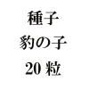 ҡɿλҡ20γ<img class='new_mark_img2' src='https://img.shop-pro.jp/img/new/icons58.gif' style='border:none;display:inline;margin:0px;padding:0px;width:auto;' />