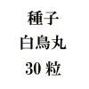 ҡĻݡ30γ<img class='new_mark_img2' src='https://img.shop-pro.jp/img/new/icons48.gif' style='border:none;display:inline;margin:0px;padding:0px;width:auto;' />