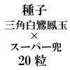 ҡ˱̡ߥѡ20γ<img class='new_mark_img2' src='https://img.shop-pro.jp/img/new/icons48.gif' style='border:none;display:inline;margin:0px;padding:0px;width:auto;' />