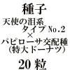 ҡŷȤޥϡNo.2ߡѥԥۼɡʥġˡ20γ<img class='new_mark_img2' src='https://img.shop-pro.jp/img/new/icons48.gif' style='border:none;display:inline;margin:0px;padding:0px;width:auto;' />
